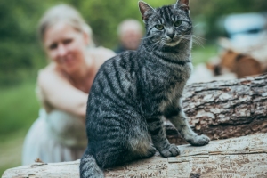 Fototreff N°14